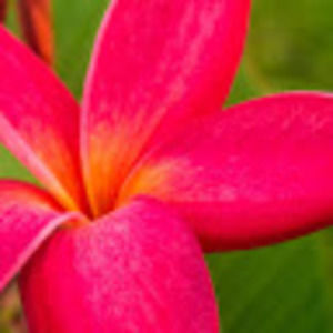 Meet your Posher, Stacey